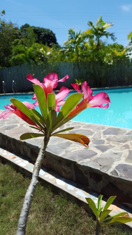 Villa Formosa Bohol Екстериор снимка